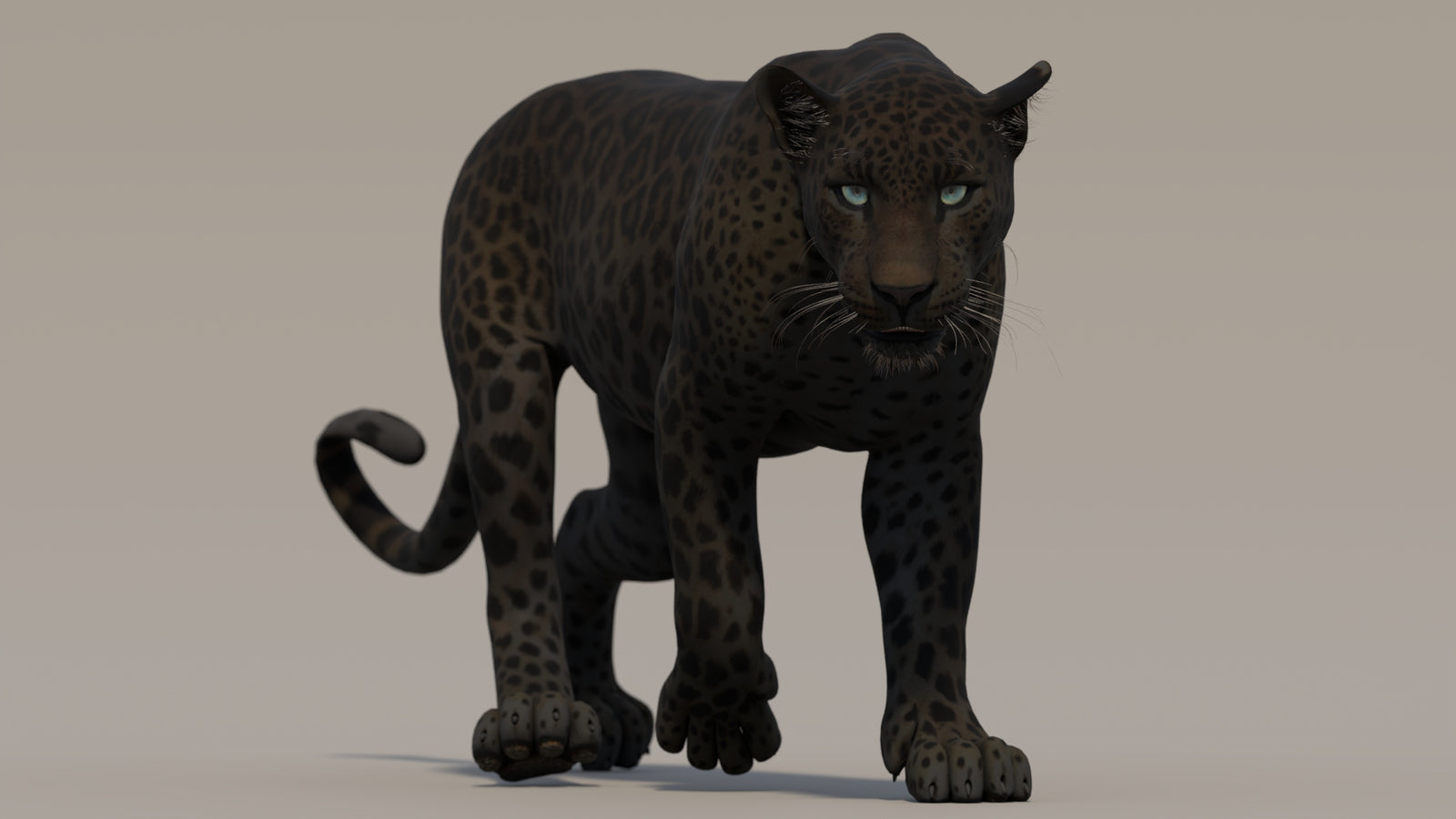 Animated Black Panther 3D Model 360° view 2 frame 33