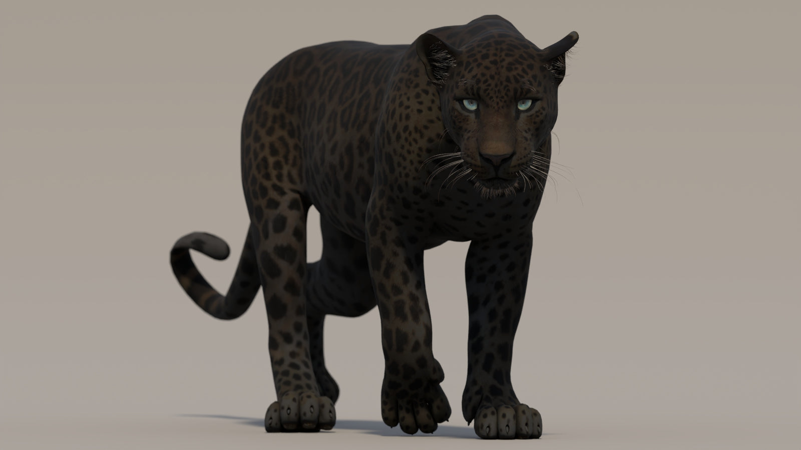 Animated Black Panther 3D Model 360° view 2 frame 36
