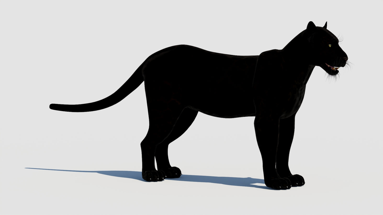 Panther 3D Model 360° view 1 frame 6