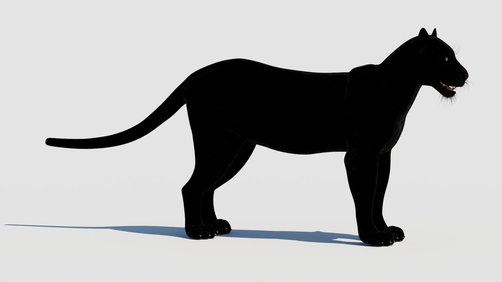 Panther 3D Model 360° view 1 frame 7