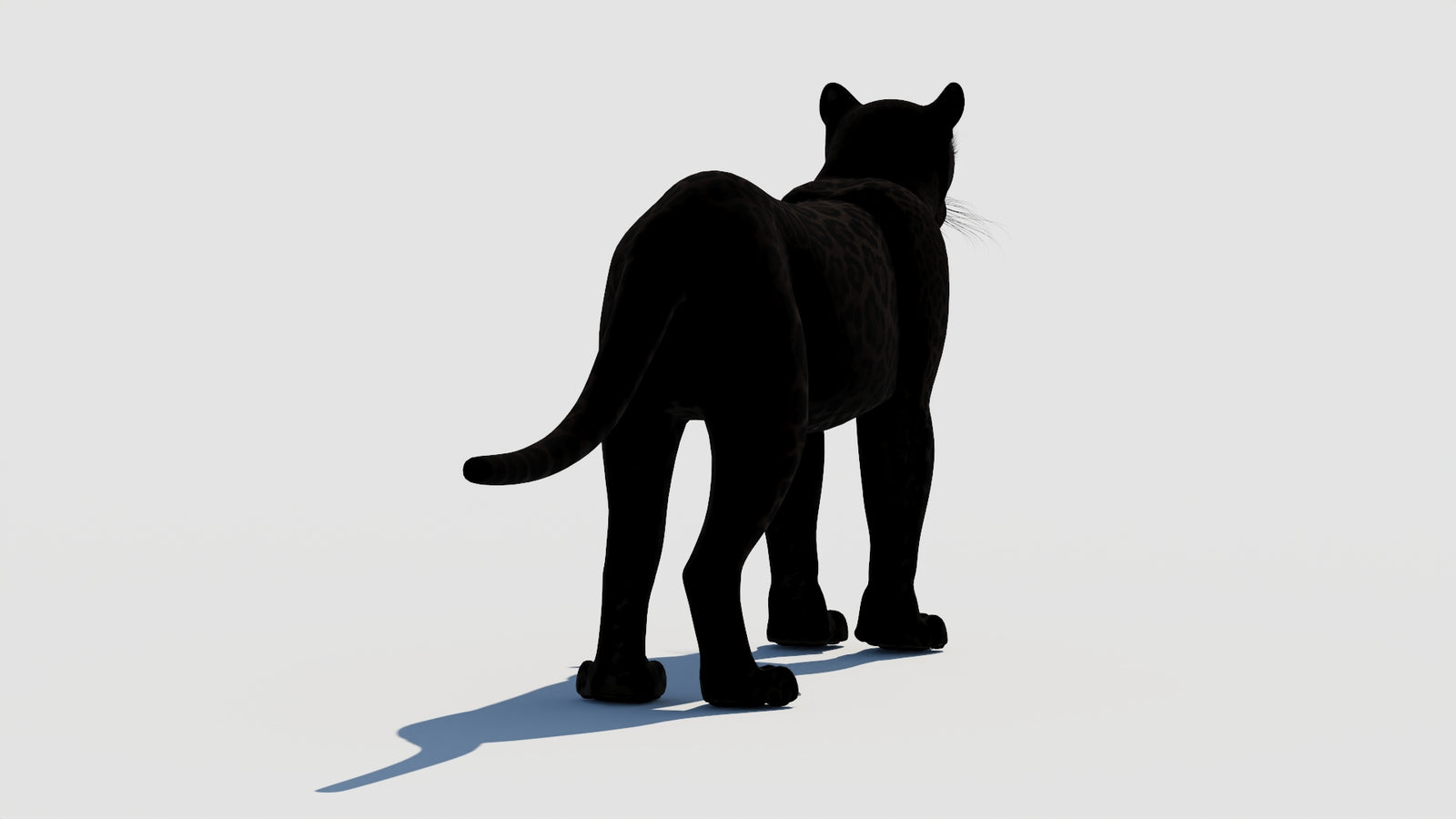 Panther 3D Model 360° view 1 frame 16
