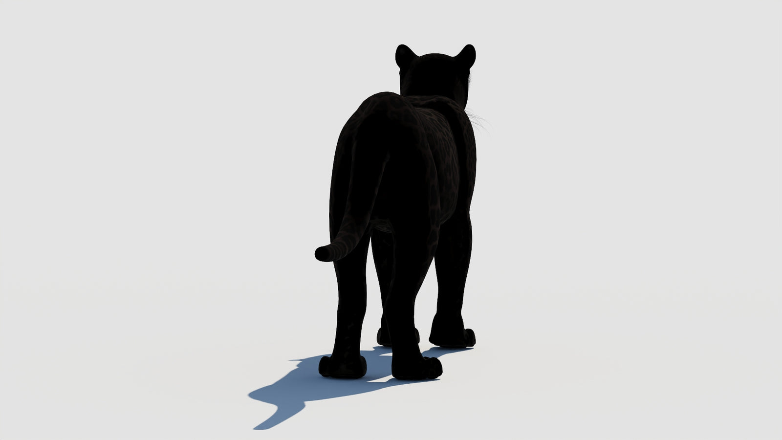 Panther 3D Model 360° view 1 frame 17