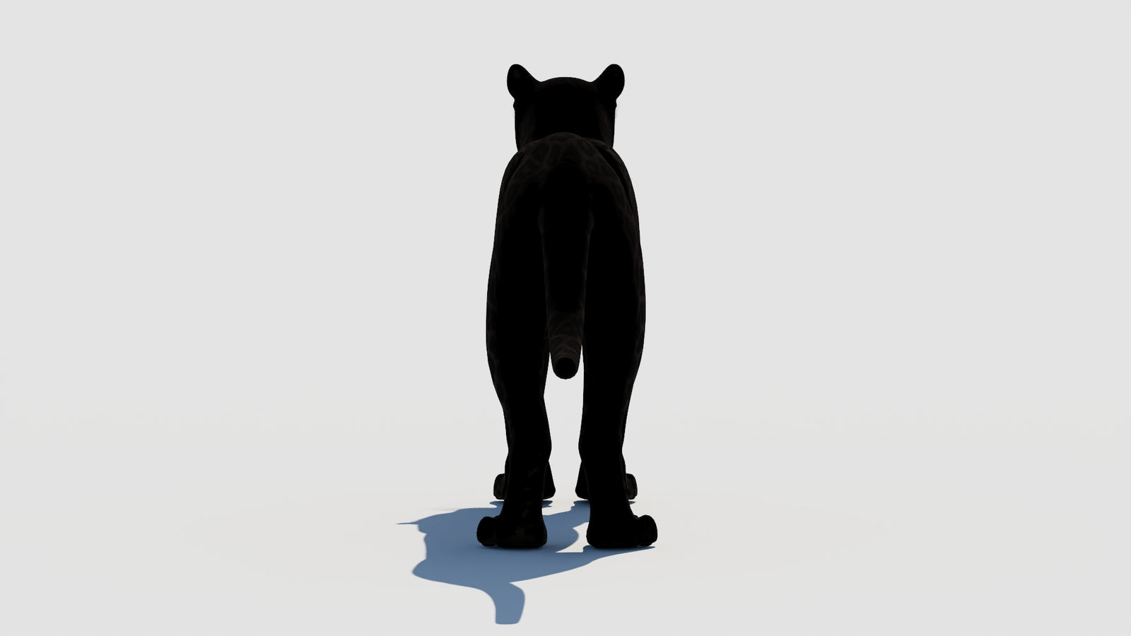 Panther 3D Model 360° view 1 frame 18