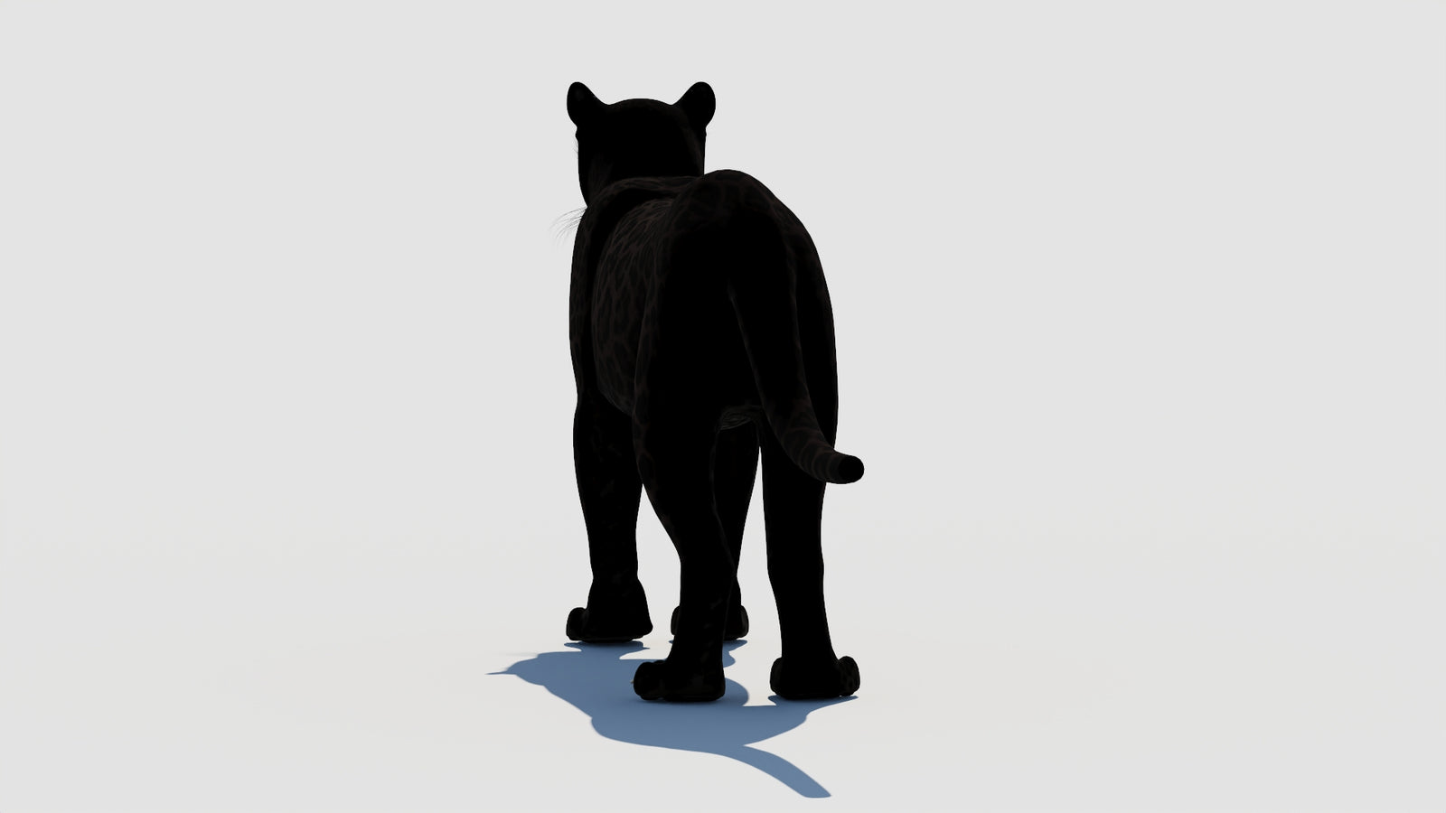Panther 3D Model 360° view 1 frame 19