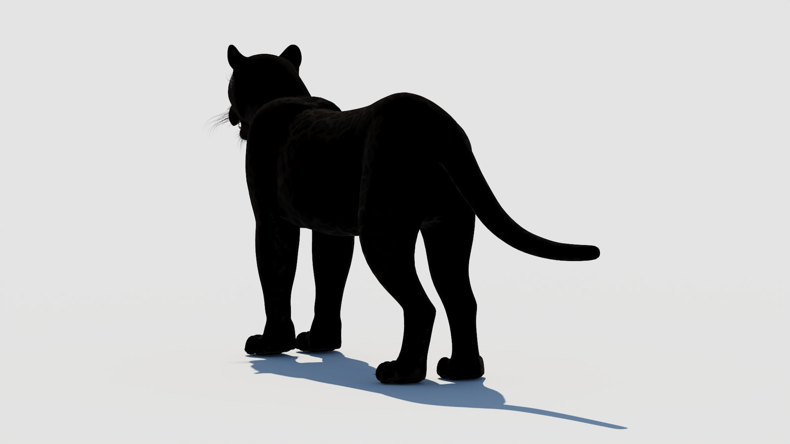 Panther 3D Model 360° view 1 frame 21