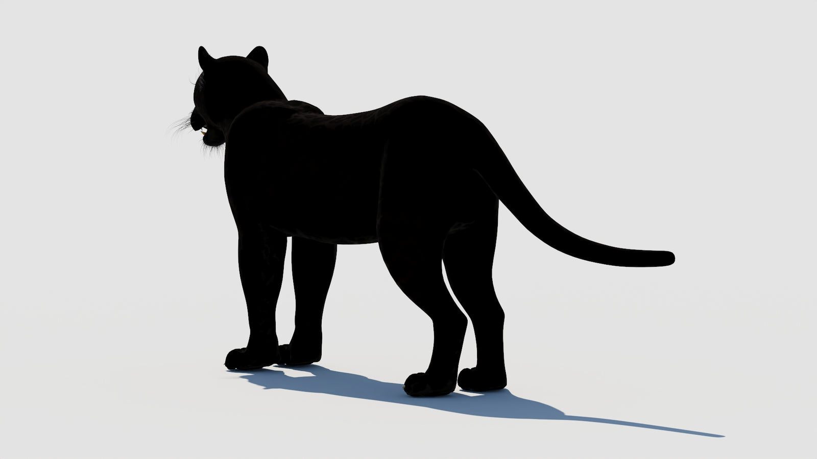Panther 3D Model 360° view 1 frame 22