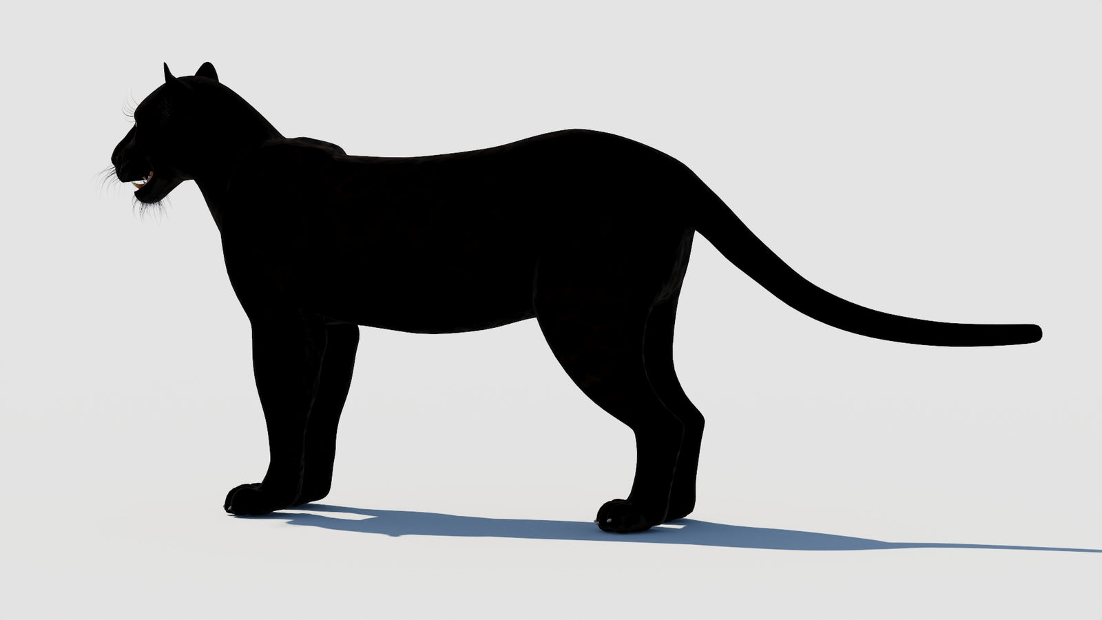 Panther 3D Model 360° view 1 frame 25