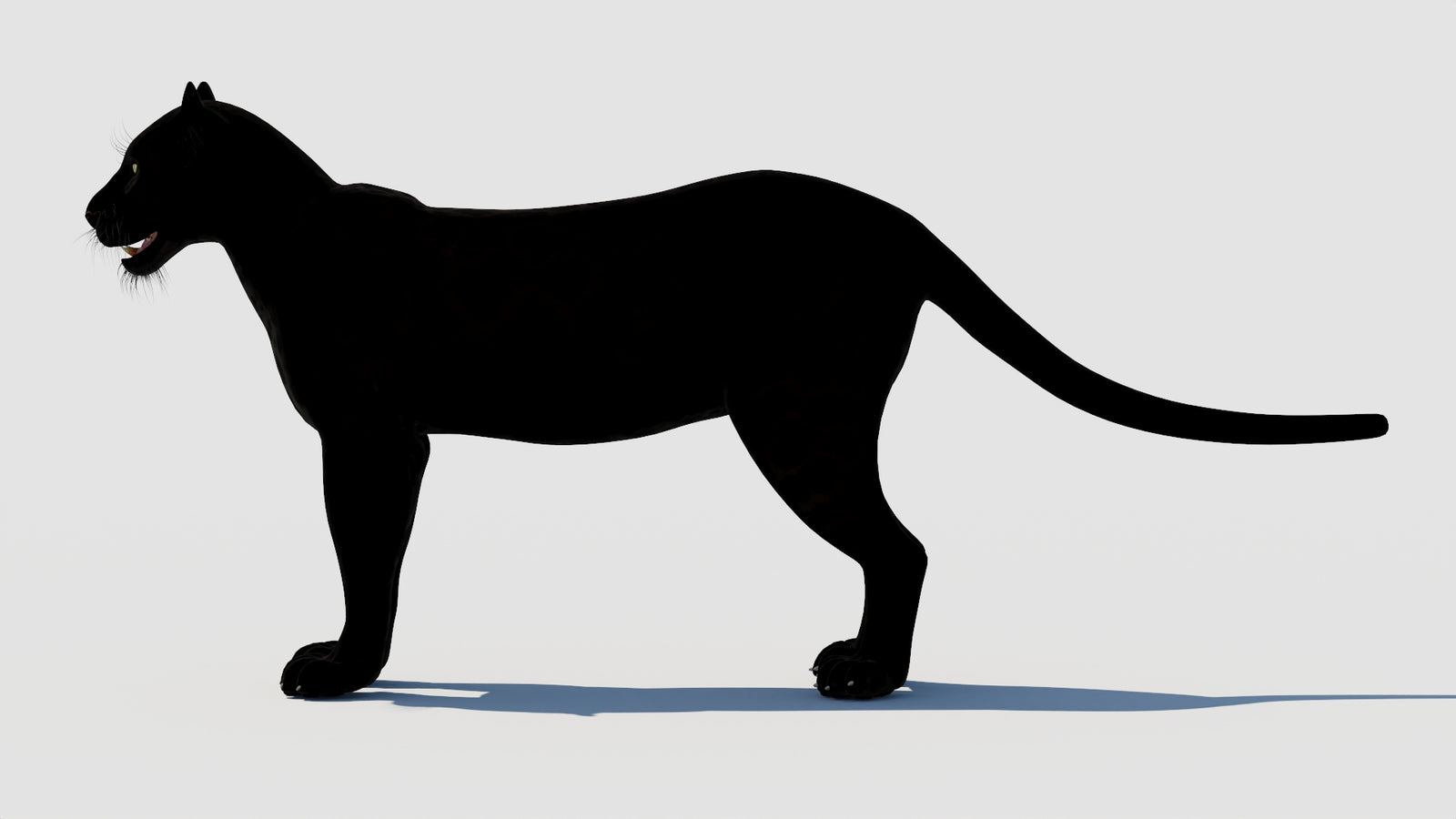 Panther 3D Model 360° view 1 frame 27