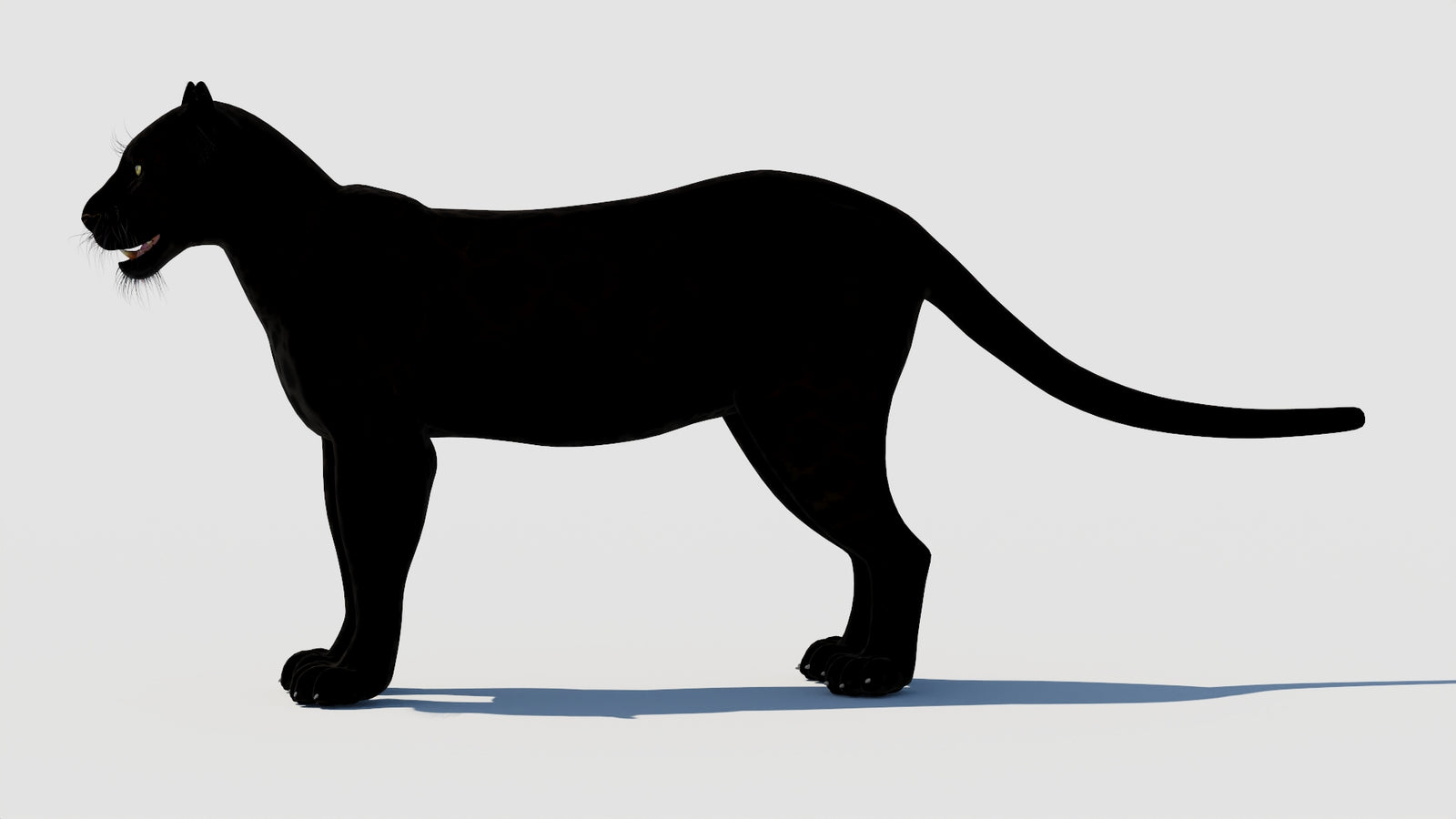 Panther 3D Model 360° view 1 frame 28