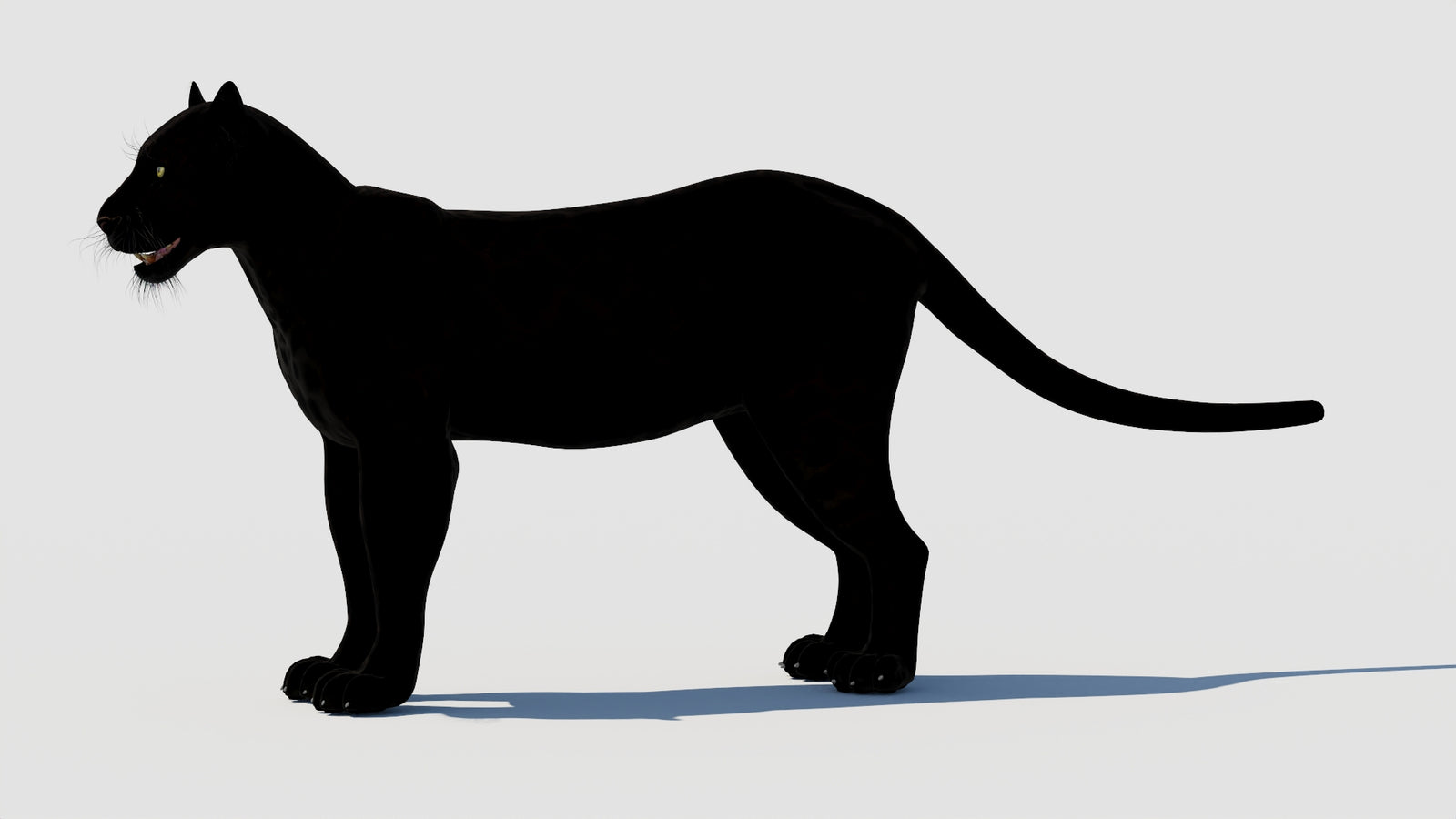 Panther 3D Model 360° view 1 frame 29