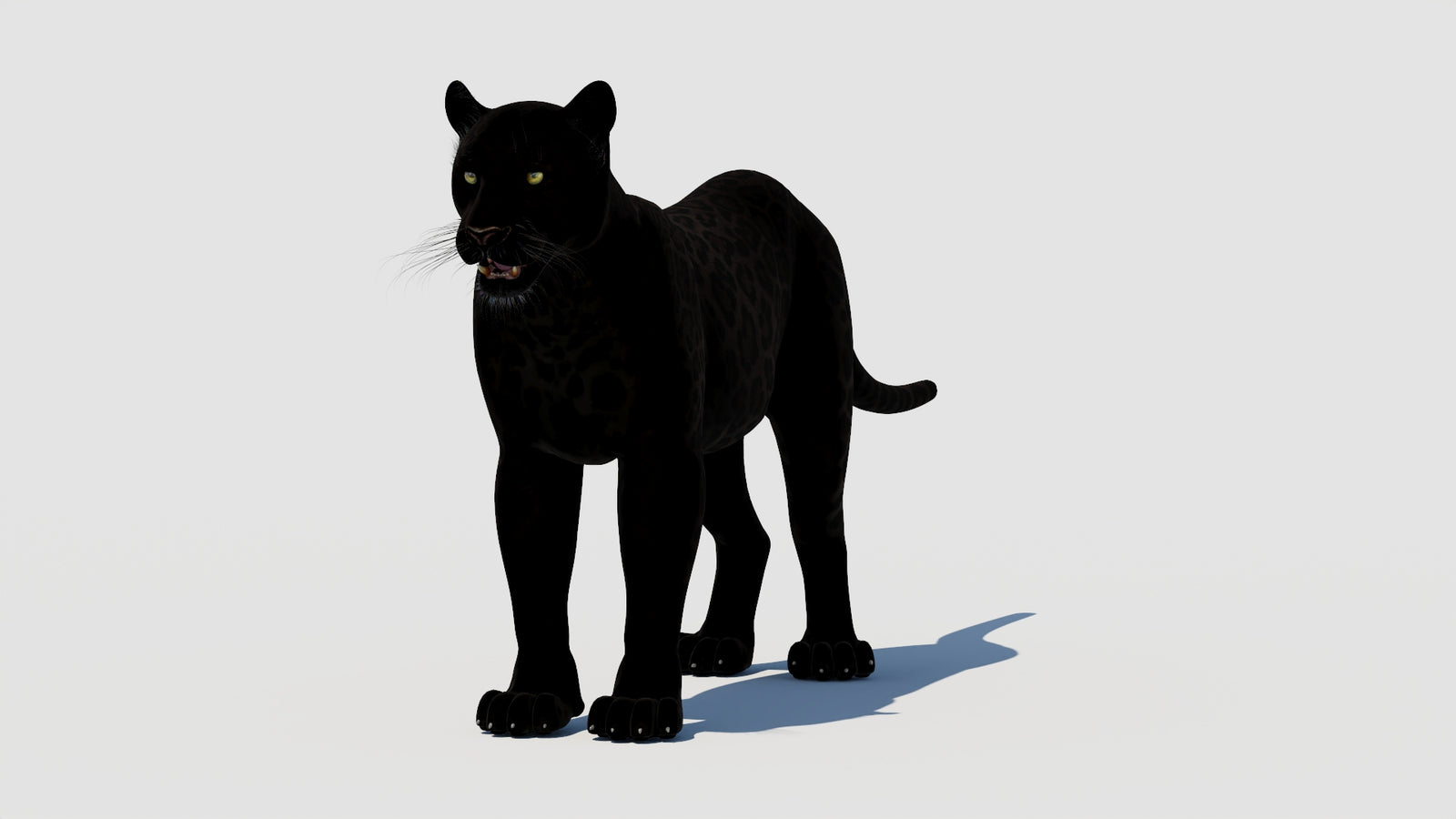 Panther 3D Model 360° view 1 frame 34
