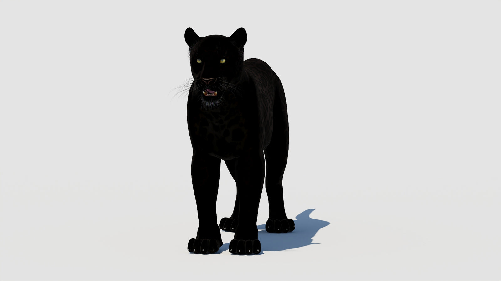Panther 3D Model 360° view 1 frame 35