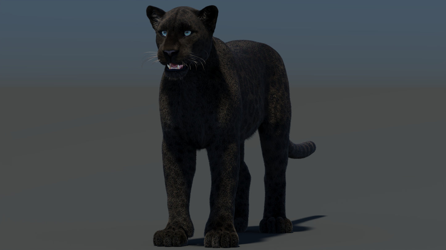 Black Panther 3D Model with Realistic Fur