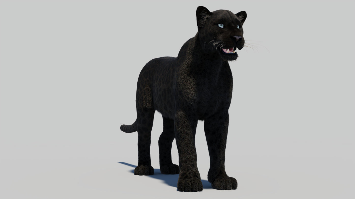 Black Panther 3D Model with Realistic Fur