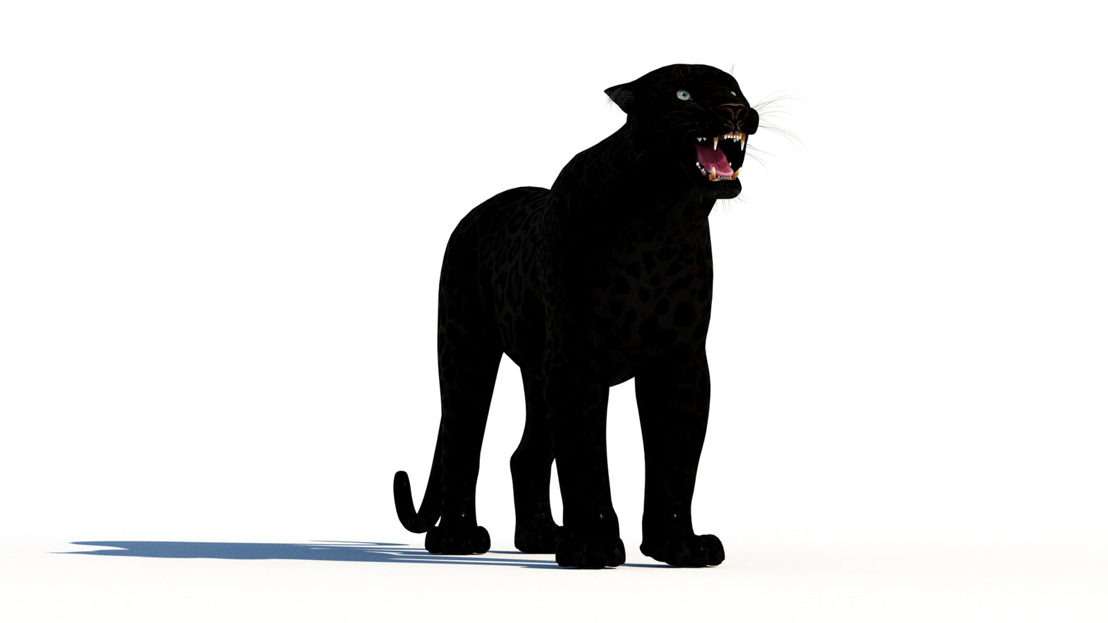 Rigged Black Panther 3D Model 360° view 1 frame 2