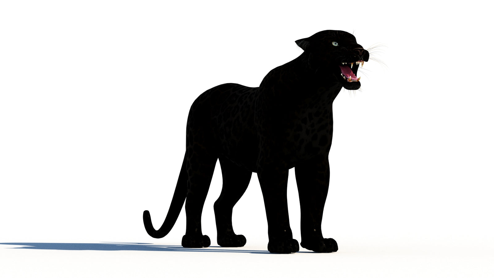 Rigged Black Panther 3D Model 360° view 1 frame 3