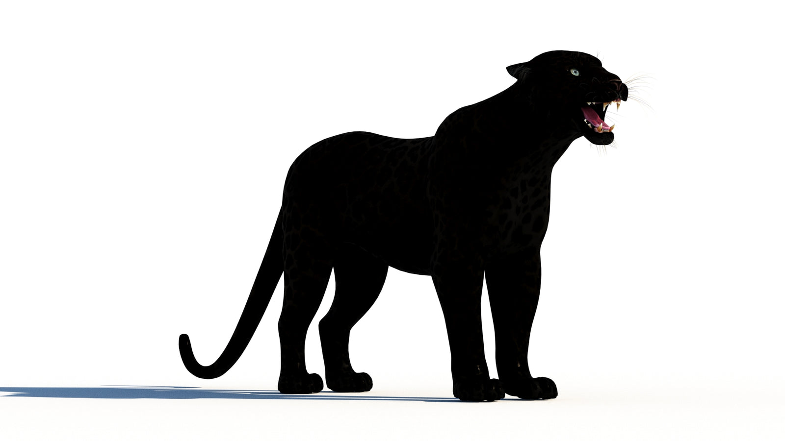 Rigged Black Panther 3D Model 360° view 1 frame 4