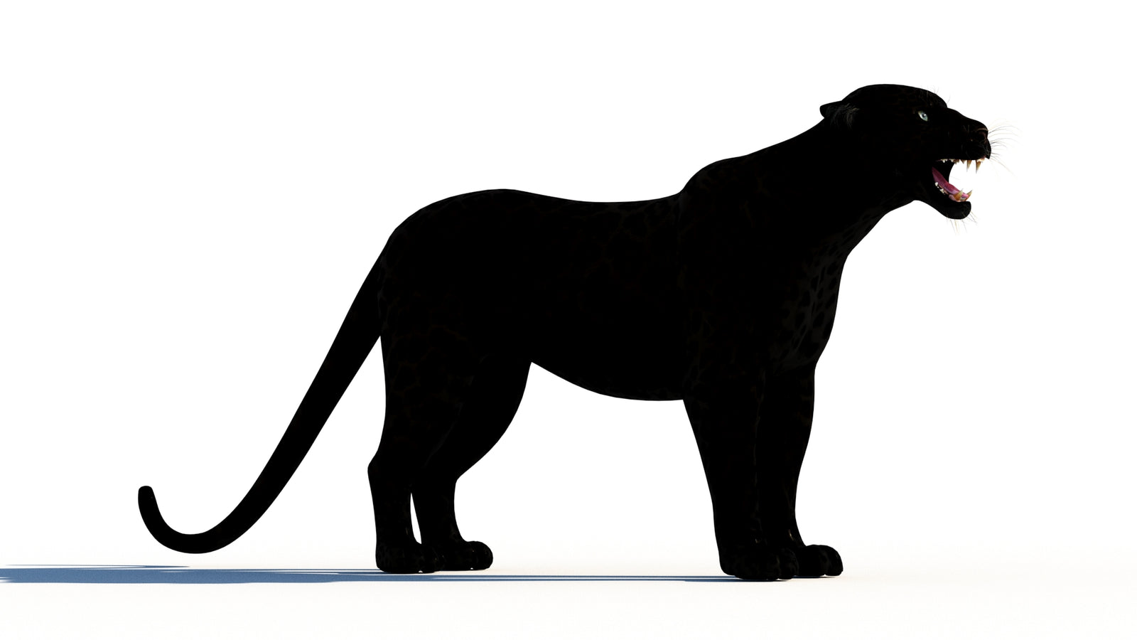 Rigged Black Panther 3D Model 360° view 1 frame 6