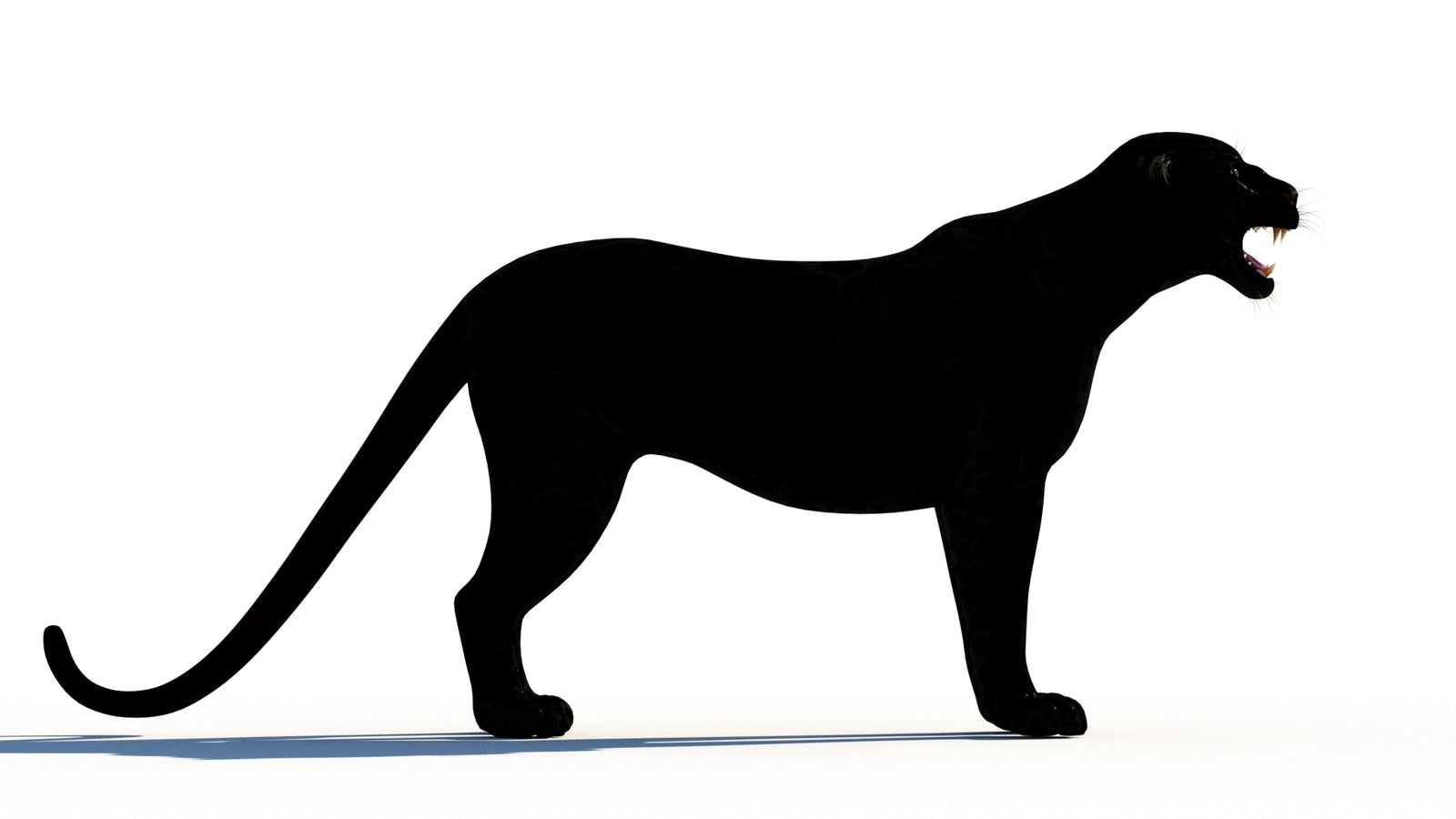 Rigged Black Panther 3D Model 360° view 1 frame 9