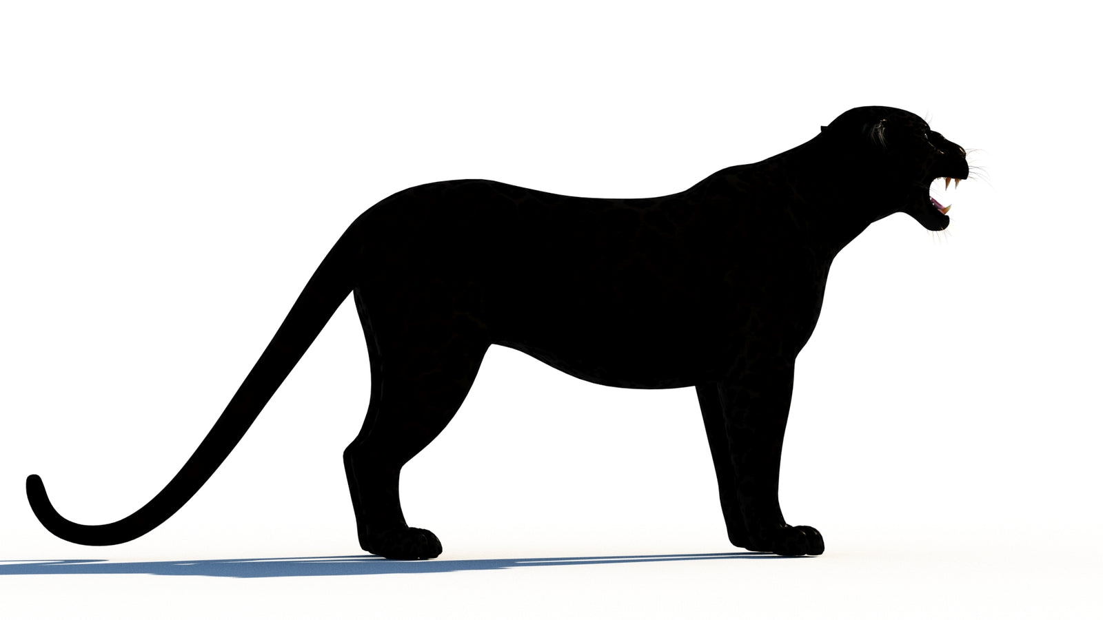 Rigged Black Panther 3D Model 360° view 1 frame 10