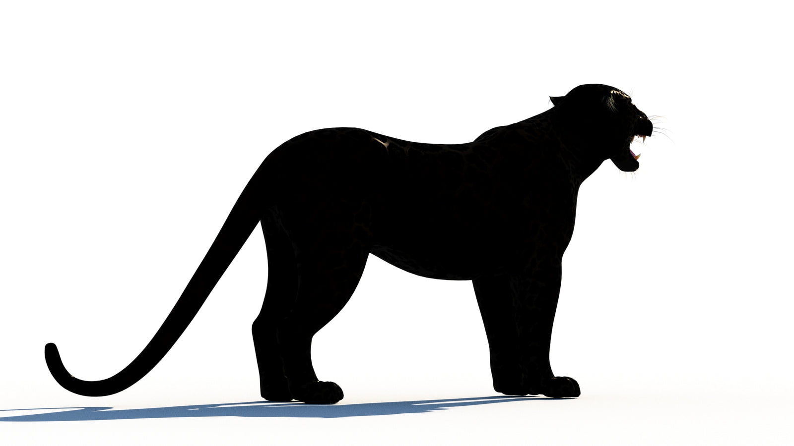 Rigged Black Panther 3D Model 360° view 1 frame 12