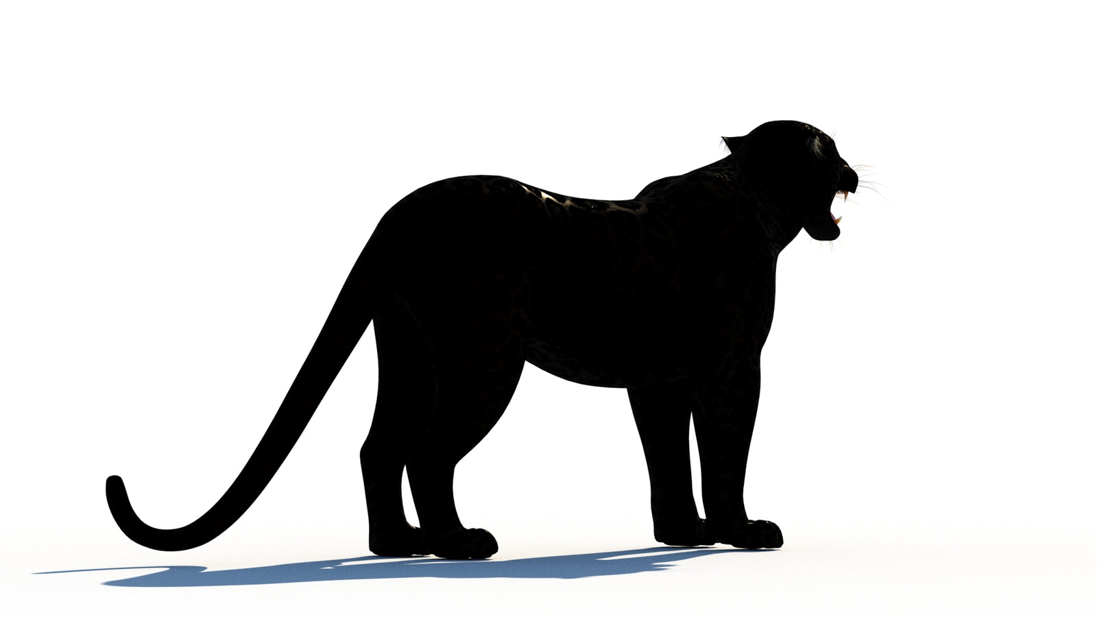 Rigged Black Panther 3D Model 360° view 1 frame 13