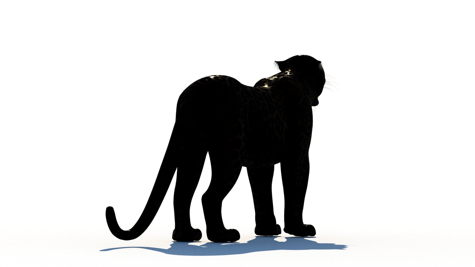 Rigged Black Panther 3D Model 360° view 1 frame 15