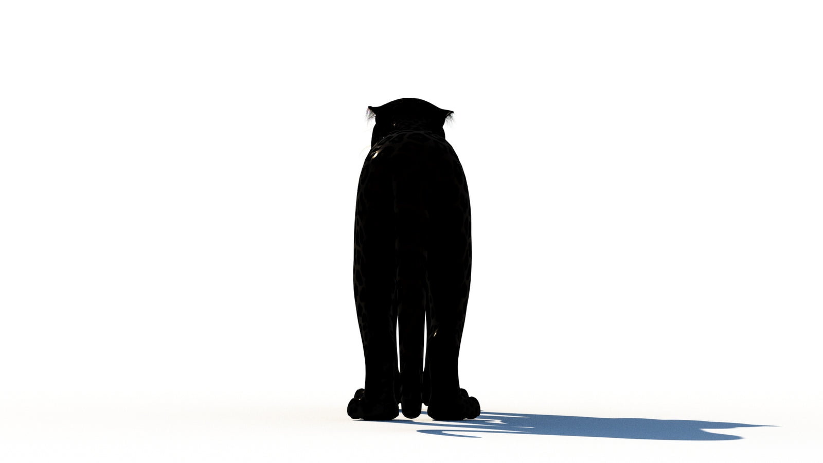 Rigged Black Panther 3D Model 360° view 1 frame 18