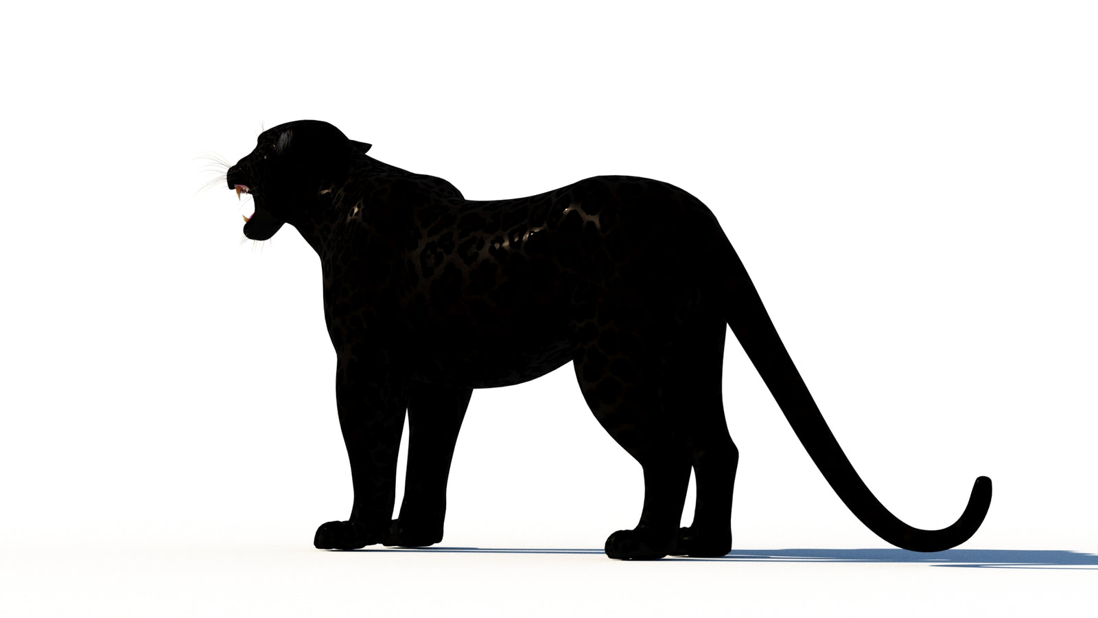 Rigged Black Panther 3D Model 360° view 1 frame 23