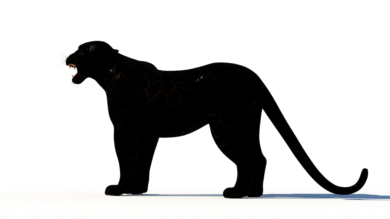 Rigged Black Panther 3D Model 360° view 1 frame 24