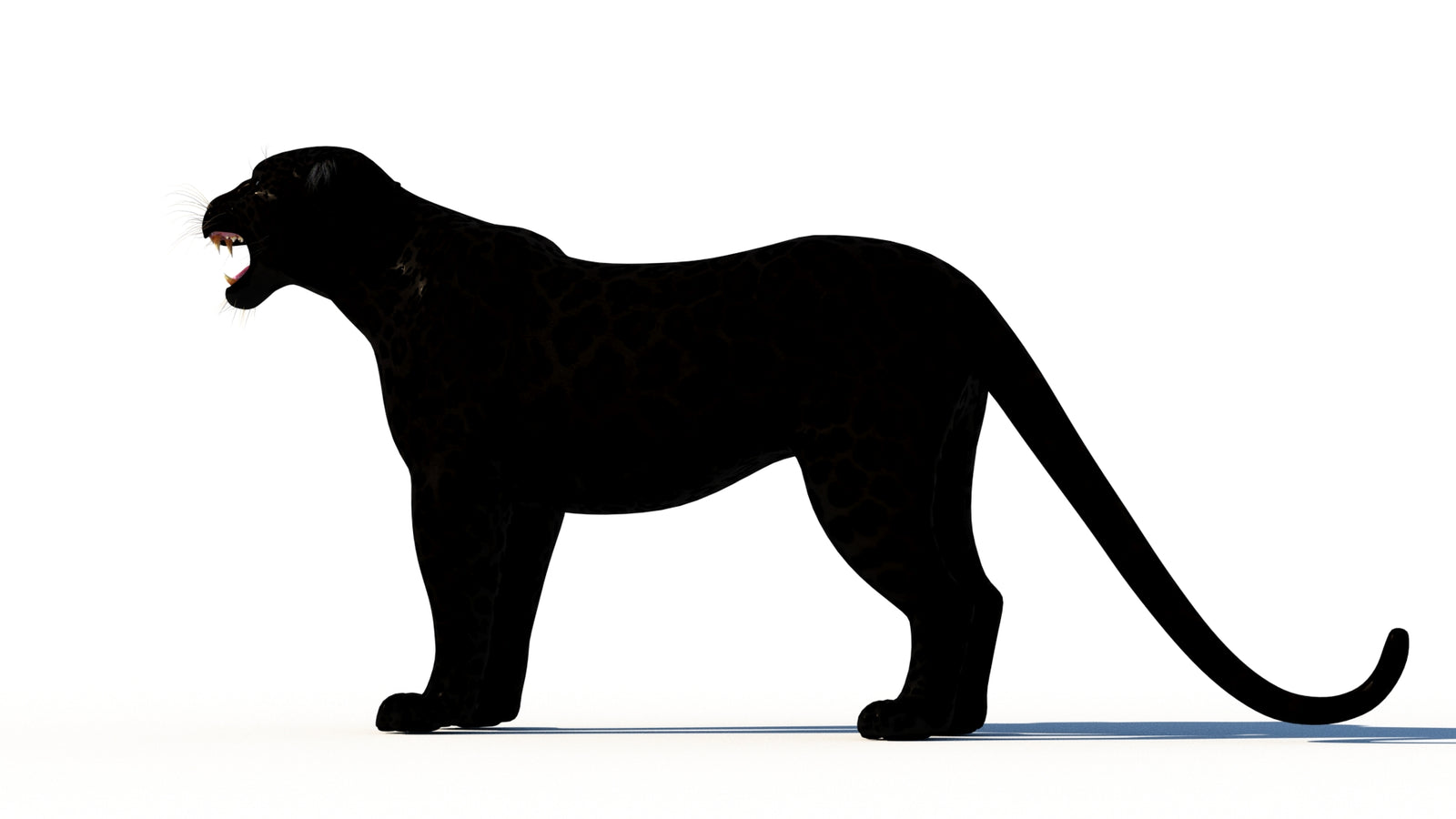 Rigged Black Panther 3D Model 360° view 1 frame 25