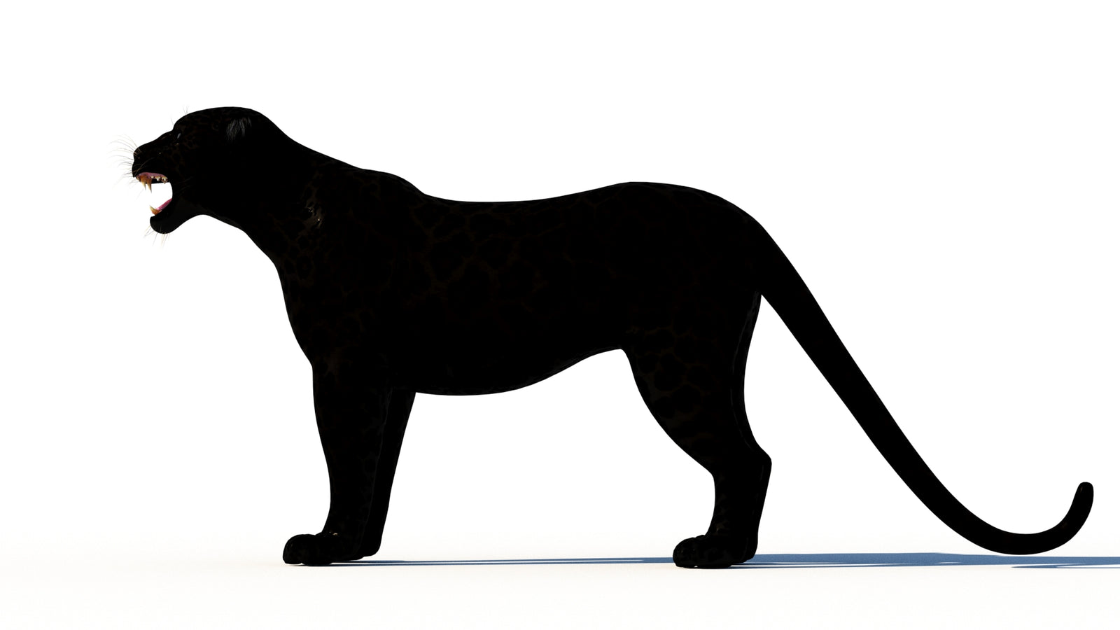 Rigged Black Panther 3D Model 360° view 1 frame 26