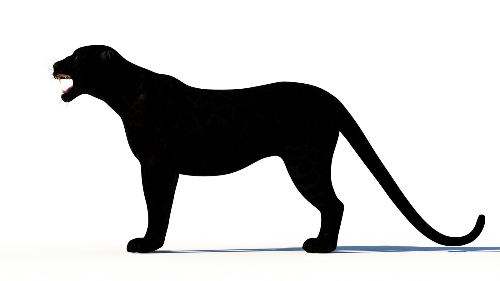 Rigged Black Panther 3D Model 360° view 1 frame 27