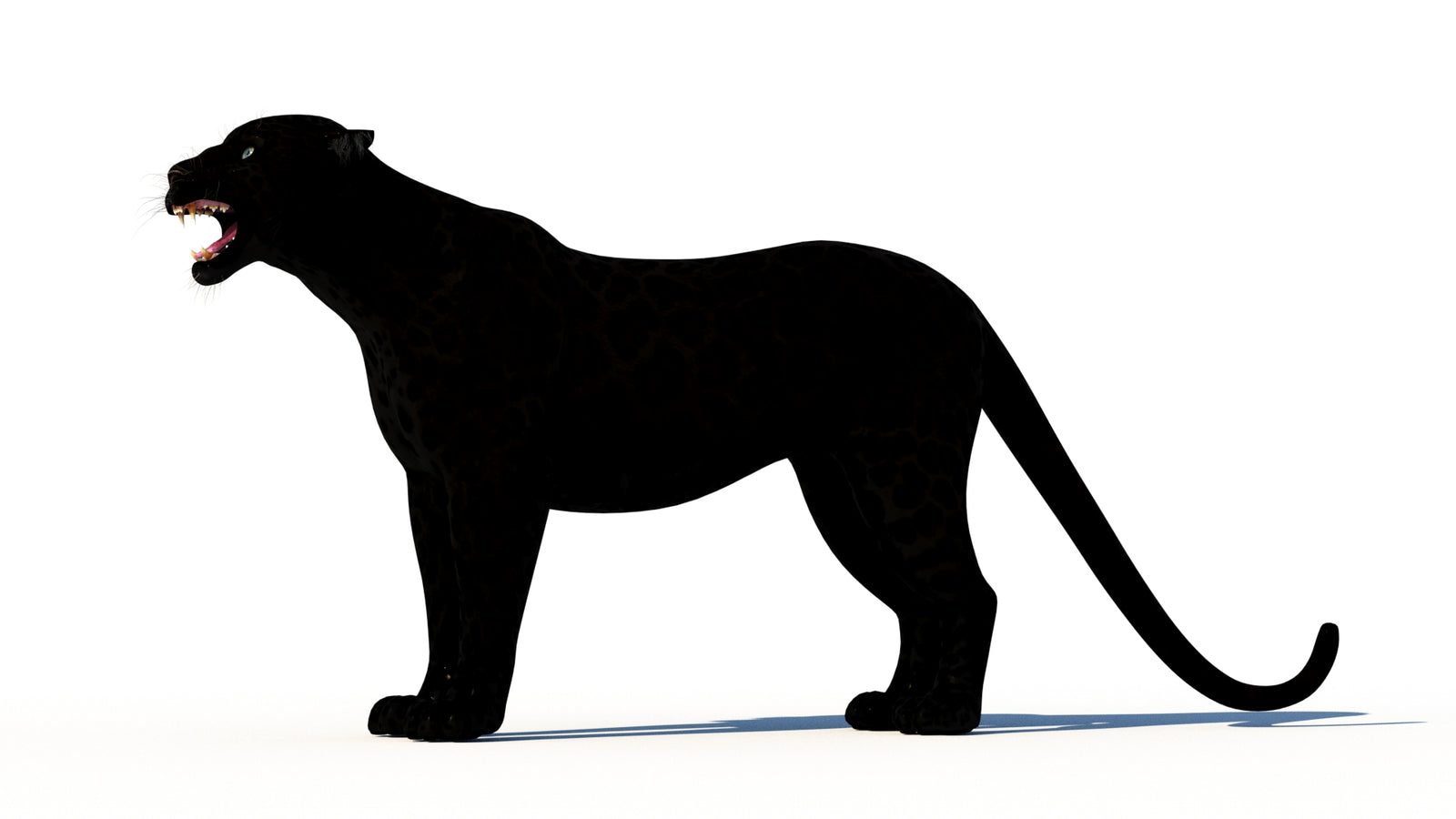 Rigged Black Panther 3D Model 360° view 1 frame 29