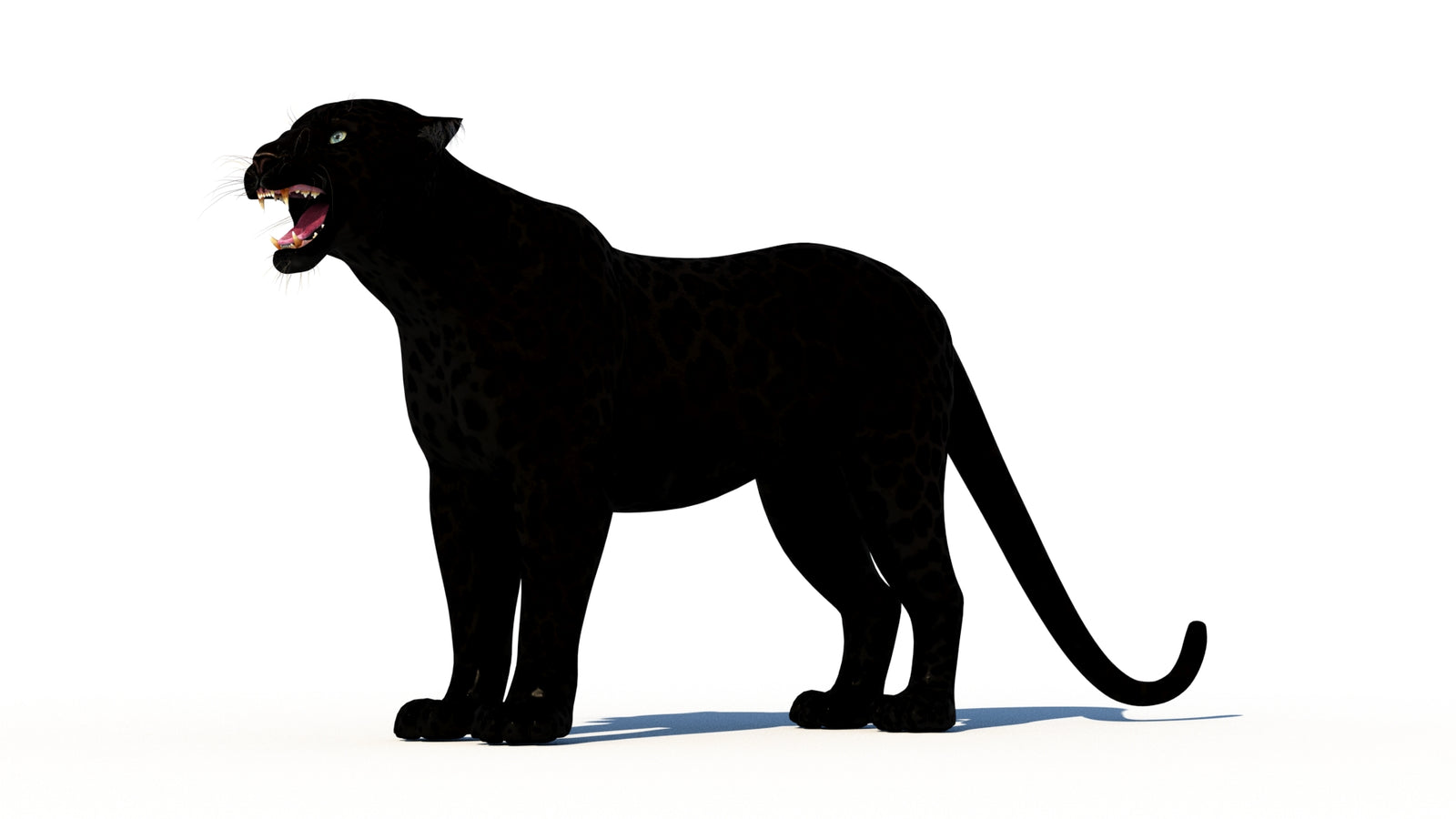 Rigged Black Panther 3D Model 360° view 1 frame 31