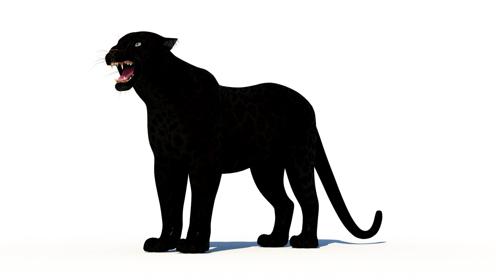 Rigged Black Panther 3D Model 360° view 1 frame 32