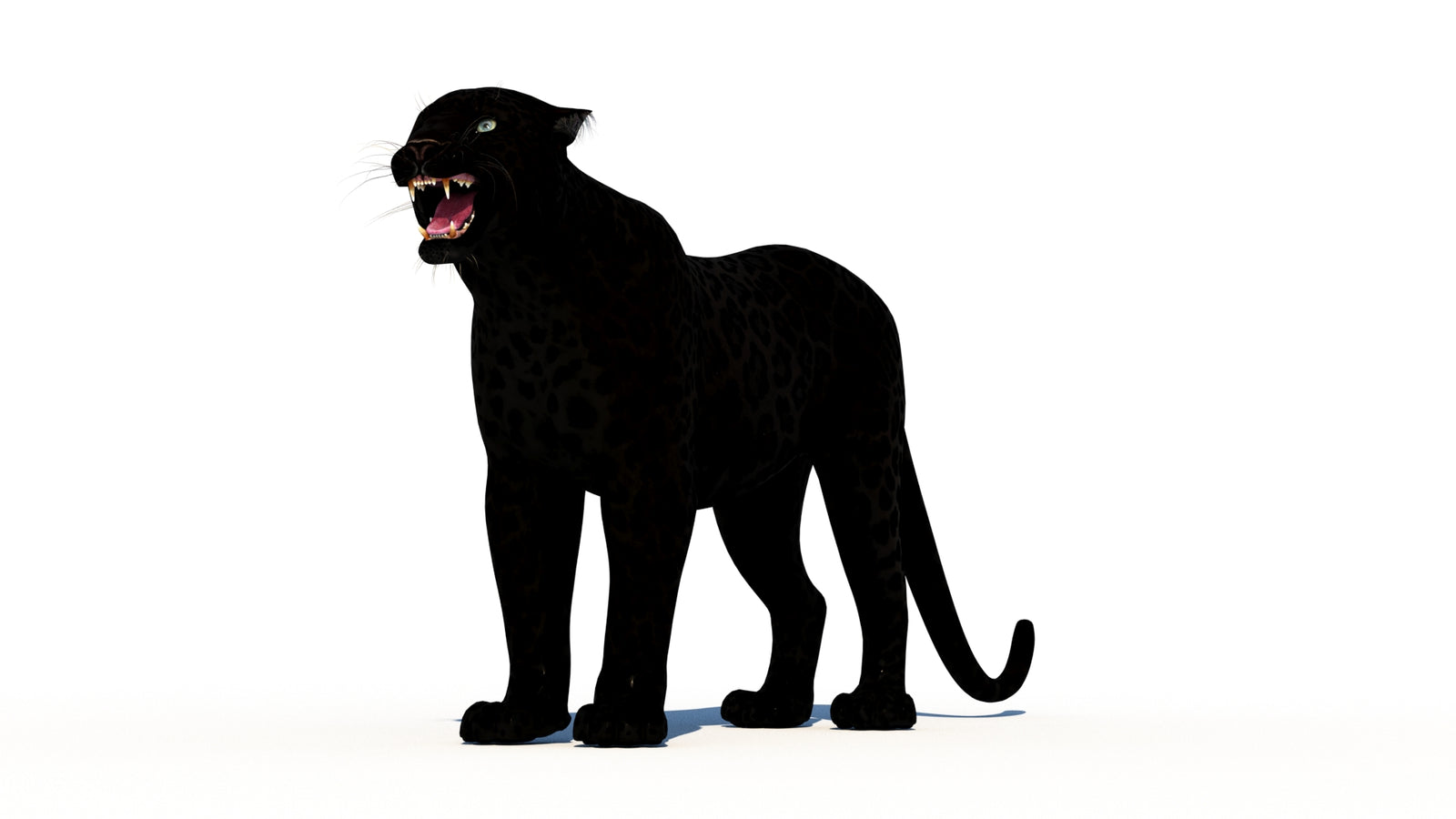 Rigged Black Panther 3D Model 360° view 1 frame 33