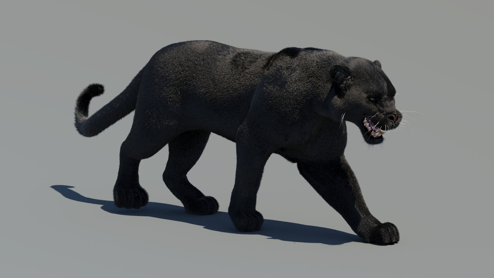 Animated Black Panther 3D Model Fur 360° view 2 frame 3
