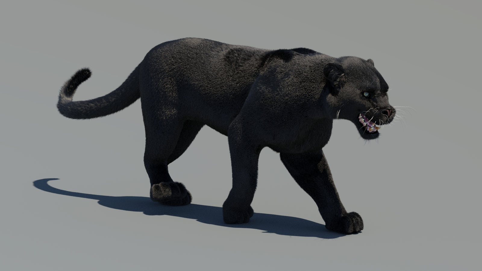 Animated Black Panther 3D Model Fur 360° view 2 frame 7