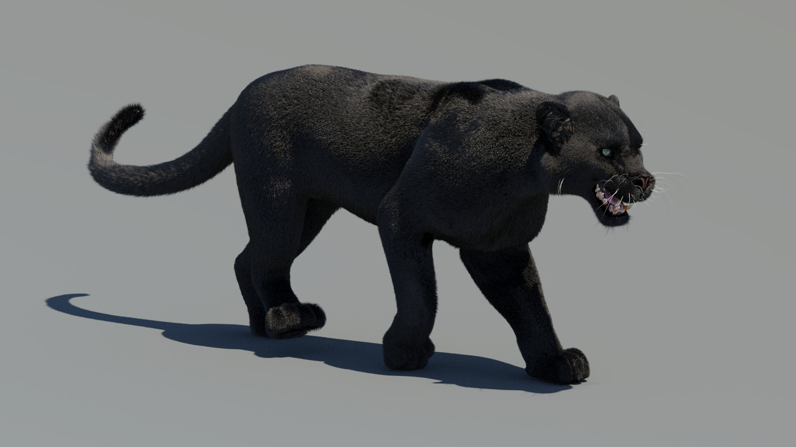 Animated Black Panther 3D Model Fur 360° view 2 frame 8