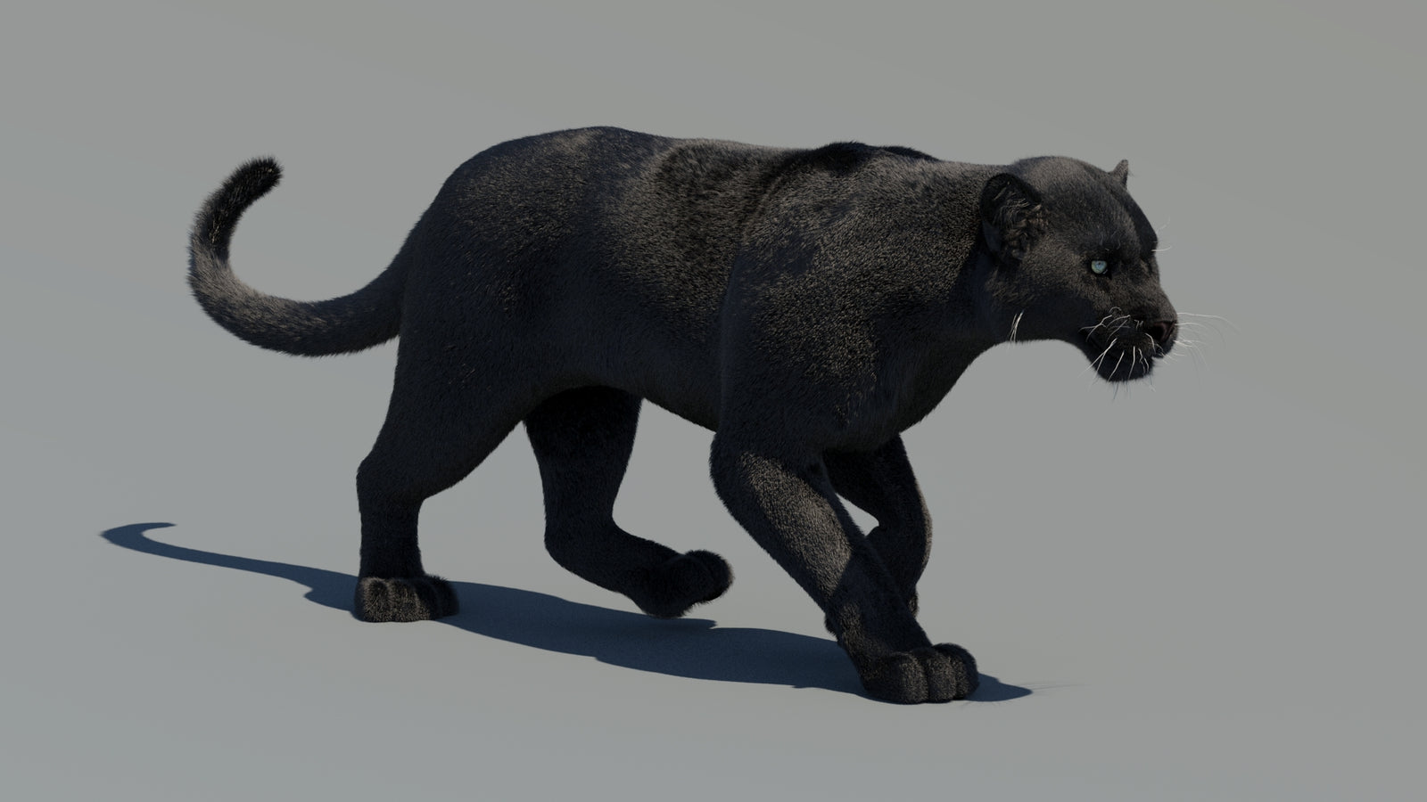 Animated Black Panther 3D Model Fur 360° view 2 frame 26