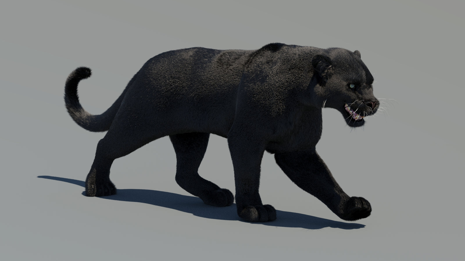 Animated Black Panther 3D Model Fur 360° view 2 frame 32