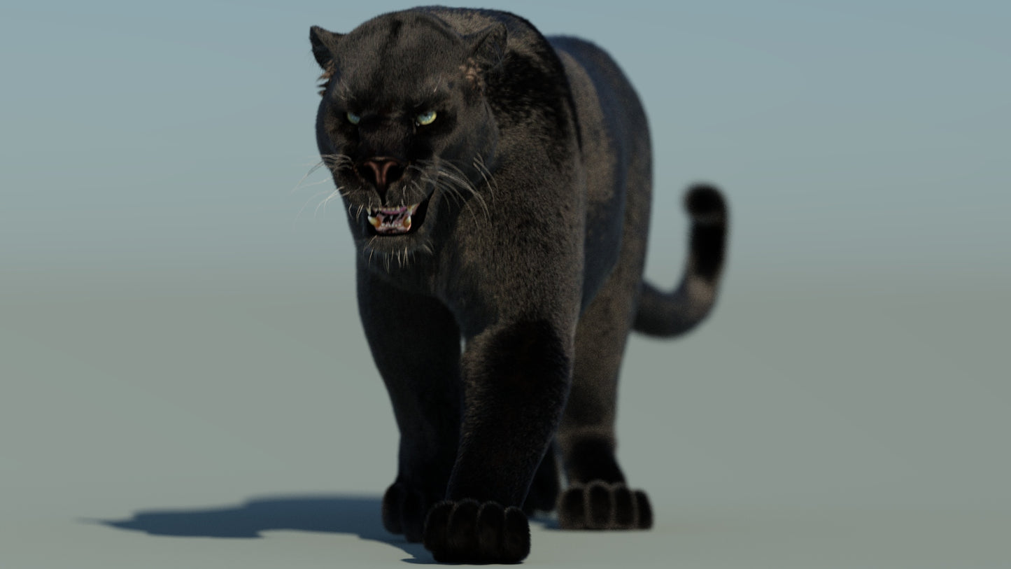 Animated Black Panther 3D Model Fur