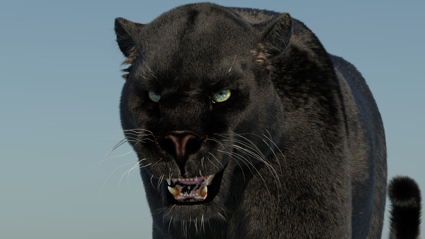 Animated Black Panther 3D Model Fur