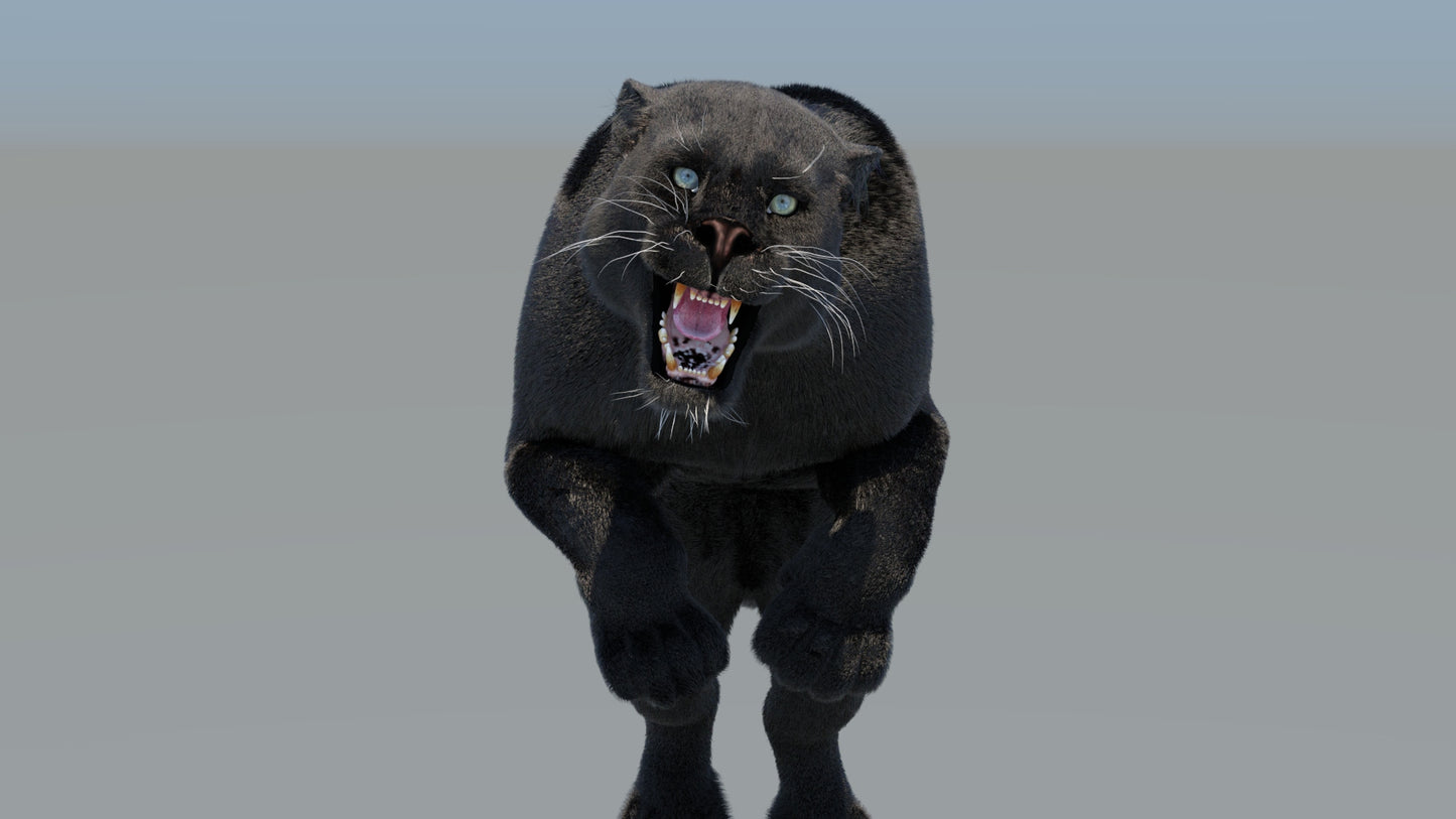 Animated Black Panther 3D Model Fur