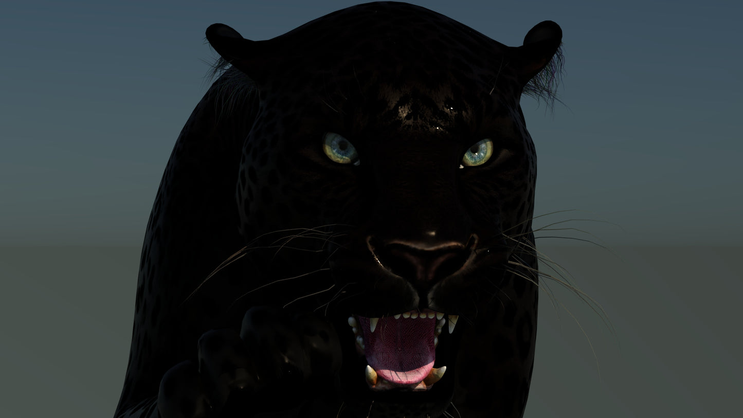 Rigged Black Panther 3D Model