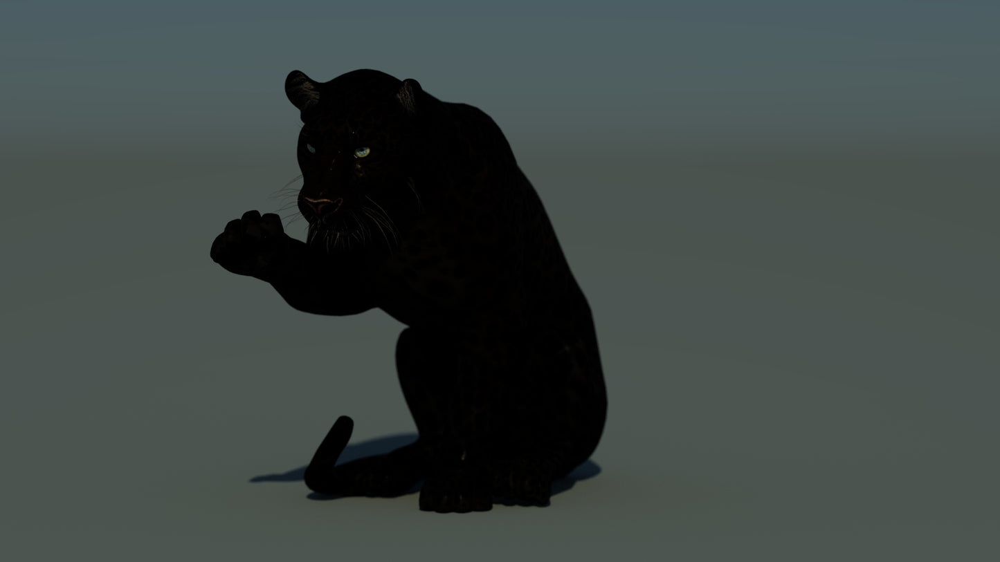 Rigged Black Panther 3D Model