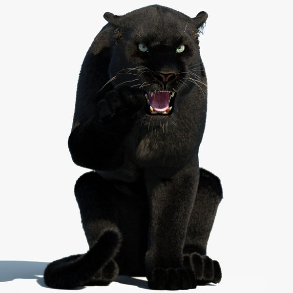 Rigged Black Panther 3D Model with Fur