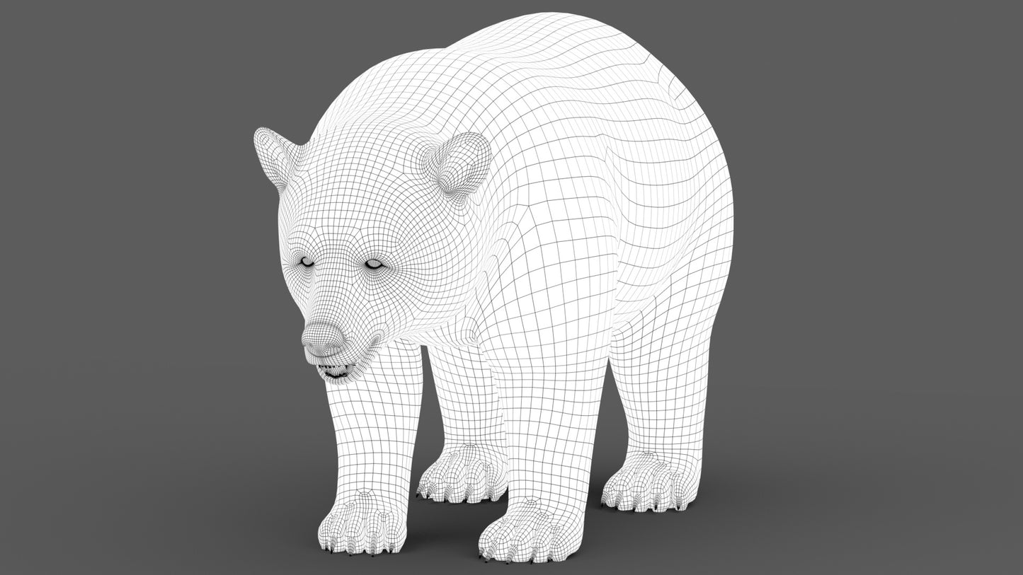 Black Bear 3D Model Wireframe View Subdivision Level 1