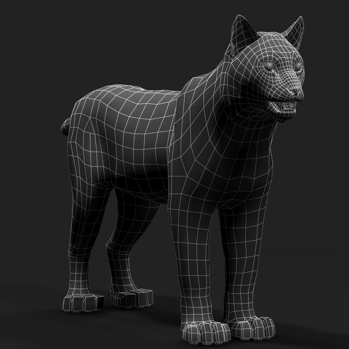 Bobcat Animal 3D Model Wireframe Vew 0